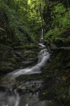 EL JARDÍN DEL EDÉN