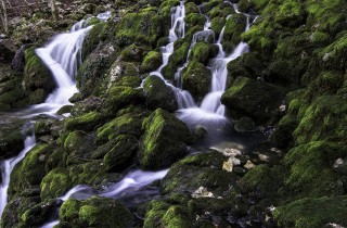 DONDE NACE EL RÍO