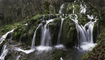 PEQUEÑAS JOYAS III