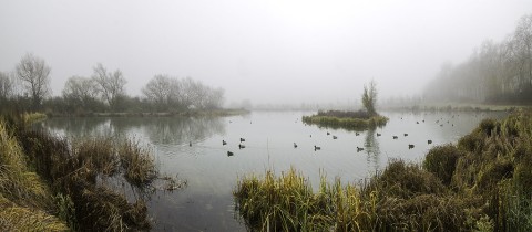 PATYLANDIA