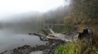 CICLO FINAL