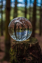LENSBALL