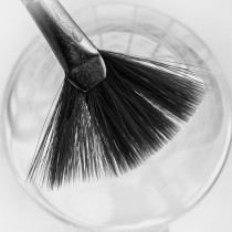 brush