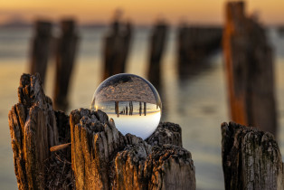 Clifton Springs 2020-03-16 (5D4_2247)