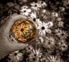 Lensball