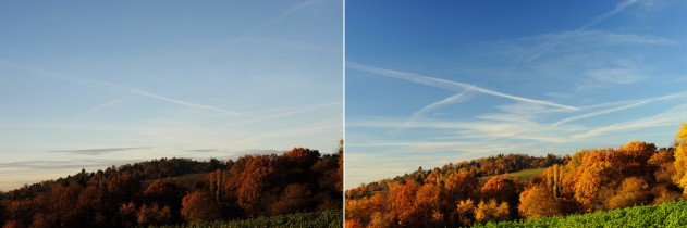 The effectiveness of a polarising filter
