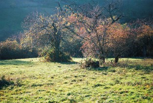 Autumn valley (#7000 in group MeinFilmLab)