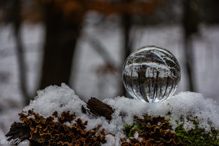 Lensball in the snow (In explore Jan. 2021)