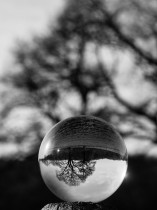 lensball