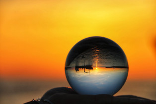In the ball