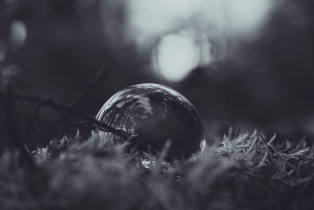 Nest Egg