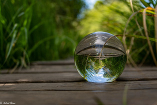 Focus on nature