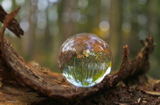 Through the lensball