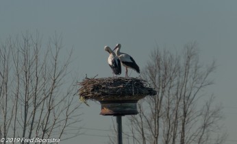 "This year early back home again! "