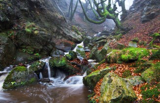 LA QUEBRADA II