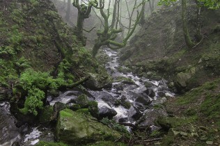 LA QUEBRADA