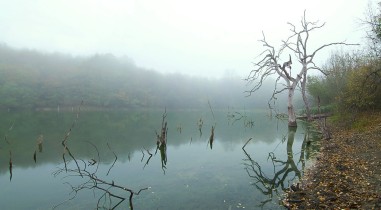 EL LAGO DE LA NIEBLA II