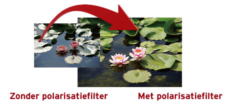 Marumi Super DHG CPL Filter 49 mm - Afbeelding 3